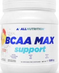 Odżywka na rzeźbę Allnutrition BCAA Max Support