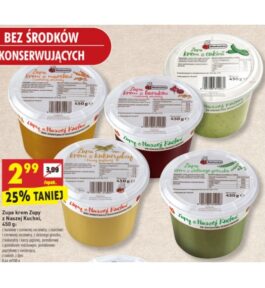 zupy biedronka